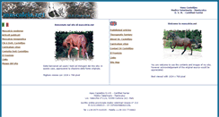 Desktop Screenshot of mascalcia.net
